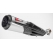 Zard exhaust Zard Slip-On With Titanium | ZPG008S10TCR | zar_ZPG008S10TCR | euronetbike-net