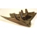 Pyramid Plastics parts Pyramid Plastics BMW K1200 Sport Belly Pan Unpainted 2006>2010 | 242999U | pyr_242999U | euronetbike-net