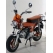 Ermax Ermax nose screen double bubble DAX REPLICA" ridium " | 060534089 | erm_060534089 | euronetbike-net