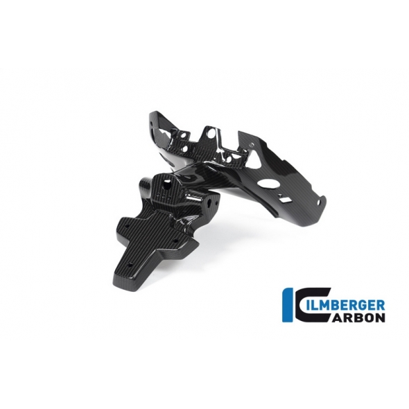 Ilmberger Carbon Ilmberger Numberplateholder (2 pieces) BMW R 1250 R (LC) 2019 | NHO-011-R125R-K | ilm_NHO_011_R125R_K | euronetbike-net