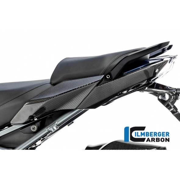 Ilmberger Carbon Ilmberger Seat unit panel left BMW R 1250 R (LC) 2019 | SIL-009-R125R-K | ilm_SIL_009_R125R_K | euronetbike-net