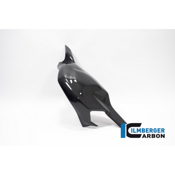 Ilmberger Carbon Ilmberger Swing Arm Cover gloss Panigale V4 (S) from 2022 | SSO.009.V422G.K | ilm_SSO_009_V422G_K | euronetbike-net