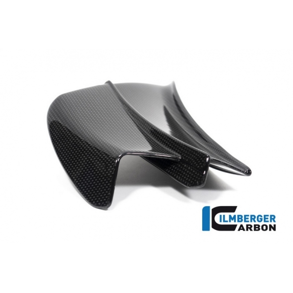 Ilmberger Carbon Ilmberger Carbon Winglet left gloss Panigale V4 R | VFL.065.DV4RG.K | ilm_VFL_065_DV4RG_K | euronetbike-net
