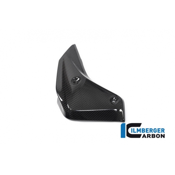 Ilmberger Carbon Ilmberger Watercooler Cover left BMW R 1250 R (LC) 2019 | WKL-001-R125R-K | ilm_WKL_001_R125R_K | euronetbike-net