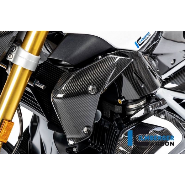 Ilmberger Carbon Ilmberger Watercooler Cover left BMW R 1250 R (LC) 2019 | WKL-001-R125R-K | ilm_WKL_001_R125R_K | euronetbike-net