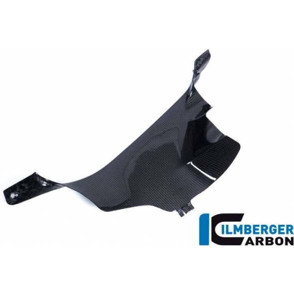 Ilmberger Carbon Ilmberger Air tube cover left gloss Panigale V4 / V4 S | WAL.028.DPV4G.K | ilm_WAL_028_DPV4G_K | euronetbike-net