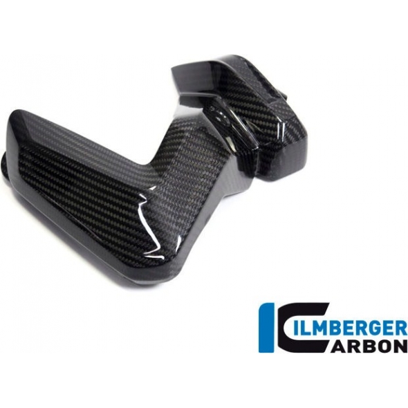 Ilmberger Carbon Ilmberger Spark Plug Cover left Side BMW R 1250 GS | ZKL.012.GS19T.K | ilm_ZKL_012_GS19T_K | euronetbike-net