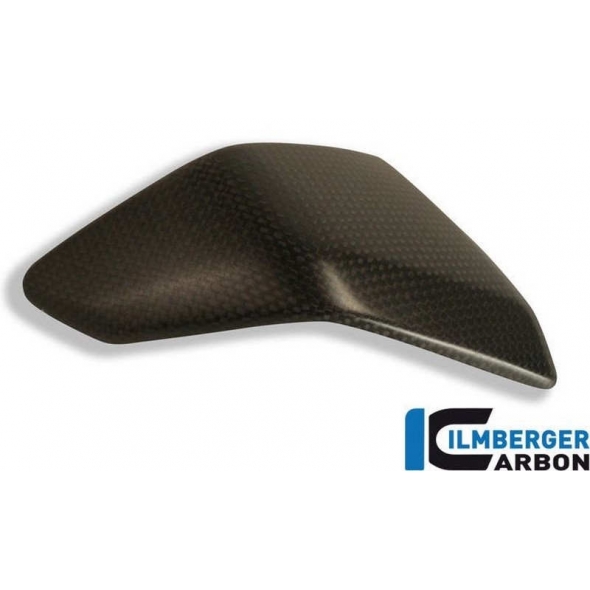 Ilmberger Carbon Ilmberger Frame Cover Inset (left) Carbon - Ducati 1199 / 1299 Panigale | ilm_SEL_029_D1199_K | euronetbike-net