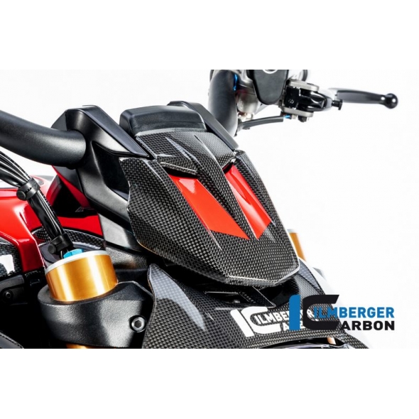 Ilmberger Carbon Ilmberger Instrument cover gloss Diavel'19 | VEO-001-DI19G-K | ilm_VEO_001_DI19G_K | euronetbike-net