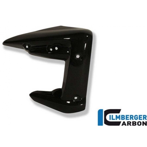 Ilmberger Carbon Ilmberger Radiator Cover (right) Carbon - Triumph Street Triple 675 | ilm_WKR_010_TRSTR_K | euronetbike-net