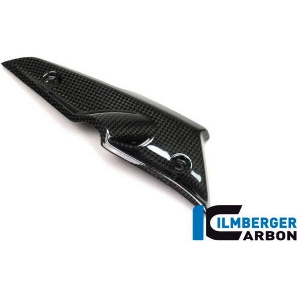Ilmberger Carbon Ilmberger Injector cover - BMW R NineT | ilm_ASL_003_NINET_K | euronetbike-net