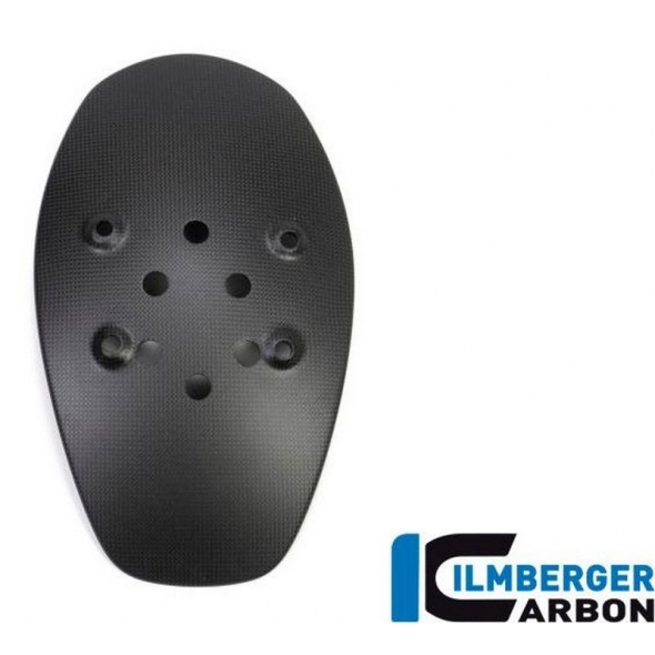 Ilmberger Carbon Ilmberger Splash guard matt XDiavel'16 | ilm_SPS_115_XD16M_K | euronetbike-net