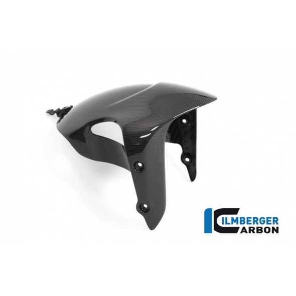 Ilmberger Carbon Ilmberger Front Mudguard gloss Diavel 2019 | KVO-005-DI19G-K | ilm_KVO_005_DI19G_K | euronetbike-net