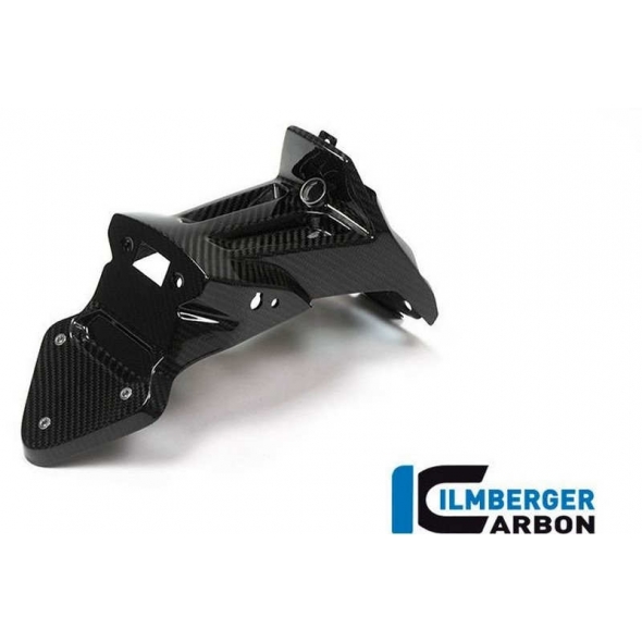 Ilmberger Carbon Ilmberger Number Plate Holder (normal lenght) - BMW S 1000 XR from 2015 | ilm_NHO_007_S10XR_K | euronetbike-net