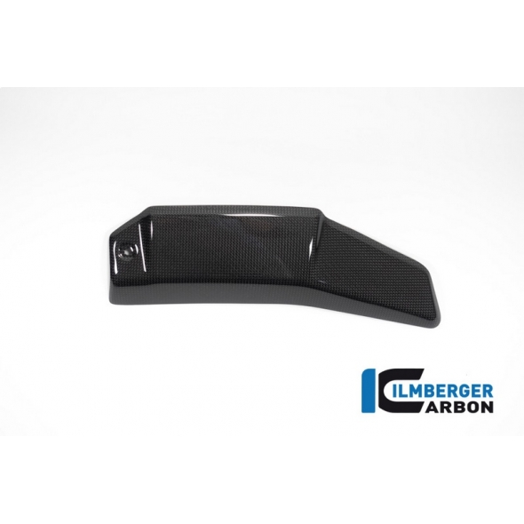 Ilmberger Carbon Ilmberger Radiator cover left gloss V4 Streetfighter | WKL.017.SFV4G.K | ilm_WKL_017_SFV4G_K | euronetbike-net