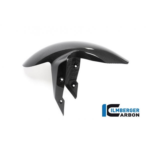 Ilmberger Carbon Ilmberger Front Fender BMW R 1250 R (LC) 2019 | KVO-005-R125R-K | ilm_KVO_005_R125R_K | euronetbike-net