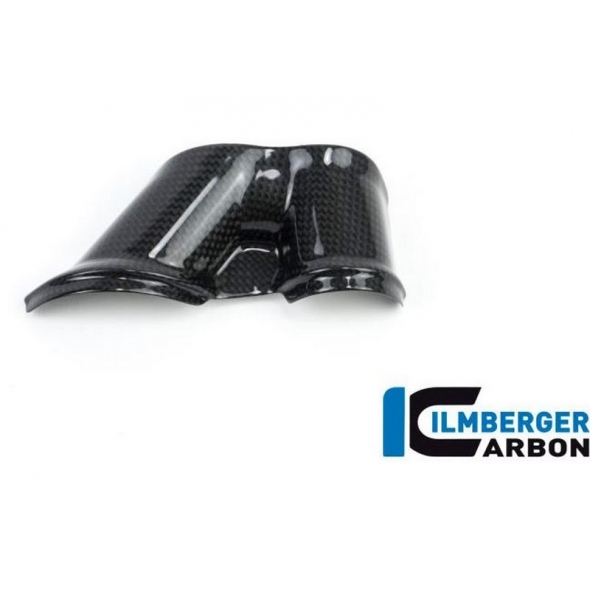 Ilmberger Carbon Ilmberger Swing arm cover set 2-parts gloss Ducati XDiavel'16 3tlg | ilm_SSO_026_XD16G_K | euronetbike-net