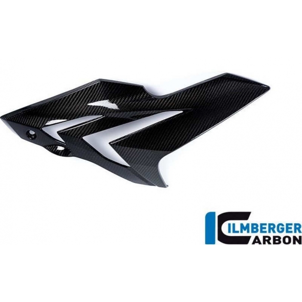 Ilmberger Carbon Ilmberger Side Fairing right Side Carbon - BMW S 1000 R | ilm_VER_209_S100N_K | euronetbike-net
