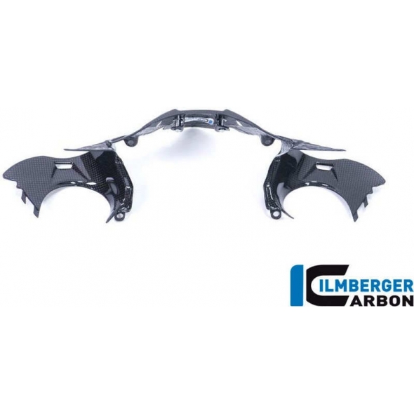 Ilmberger Carbon Ilmberger Instrument panel with GPS gloss Ducati Panigale 1299 (from 2015) | ilm_IAO_015_1299G_K | euronetbike-net