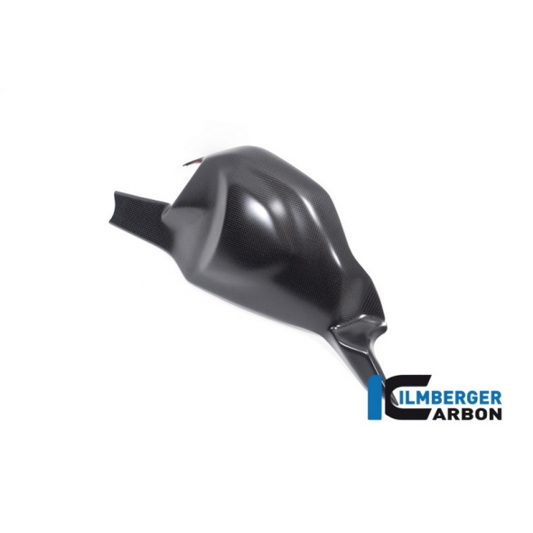 Ilmberger Carbon Ilmberger Swing Arm Cover matt Panigale V4 (S) from 2022 | SSO.109.V422M.K | ilm_SSO_109_V422M_K | euronetbike-net