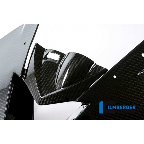 Ilmberger Carbon Ilmberger Front Race Fairing Carbon - BMW S 1000 RR (from 2015) | ilm_VEO_352_S1R15_K | euronetbike-net