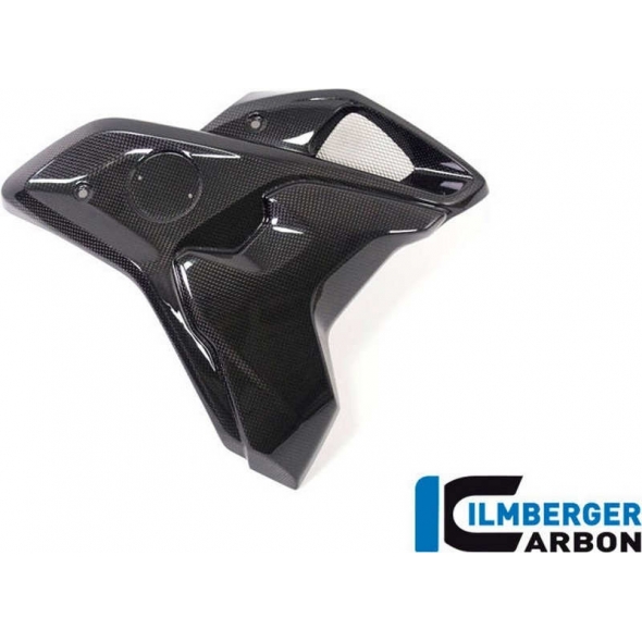 Ilmberger Carbon Ilmberger Airtube right side complete incl Flap BMW R 1200 GS´17 | ilm_WKR_002_GS17L_K | euronetbike-net