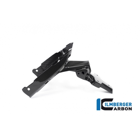Ilmberger Carbon Ilmberger Numberplateholder (2 pieces) BMW R 1250 R (LC) 2019 | NHO-011-R125R-K | ilm_NHO_011_R125R_K | euronetbike-net