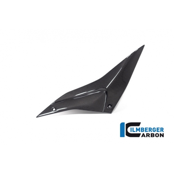 Ilmberger Carbon Ilmberger Sidepanel left side gloss Tuono/RSV4 from 2021 | SDL.002.TU21G.K | ilm_SDL_002_TU21G_K | euronetbike-net