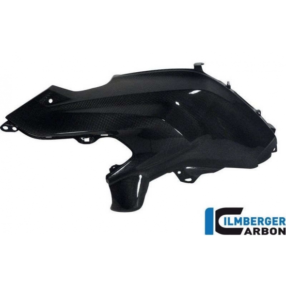 Ilmberger Carbon Ilmberger Tank Side Cover left Carbon - BMW R 1200 GS (LC from 2013) | ilm_TSL_030_GS12L_K | euronetbike-net