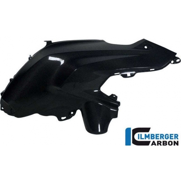 Ilmberger Carbon Ilmberger Tank Side Cover right Carbon - BMW R 1200 GS (LC from 2013) | ilm_TSR_029_GS12L_K | euronetbike-net