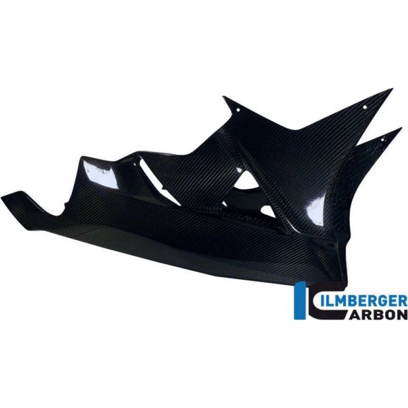 Ilmberger Carbon Ilmberger Bellypan Street Carbon - BMW HP 4 (2012-now) | ilm_VEU_046_HP4ST_K | euronetbike-net