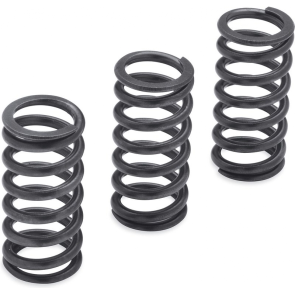 Harley-Davidson Harley-Davidson Milwaukee-Eight Engine Clutch Springs-1200N | 37000288 | hd_37000288 | euronetbike-net