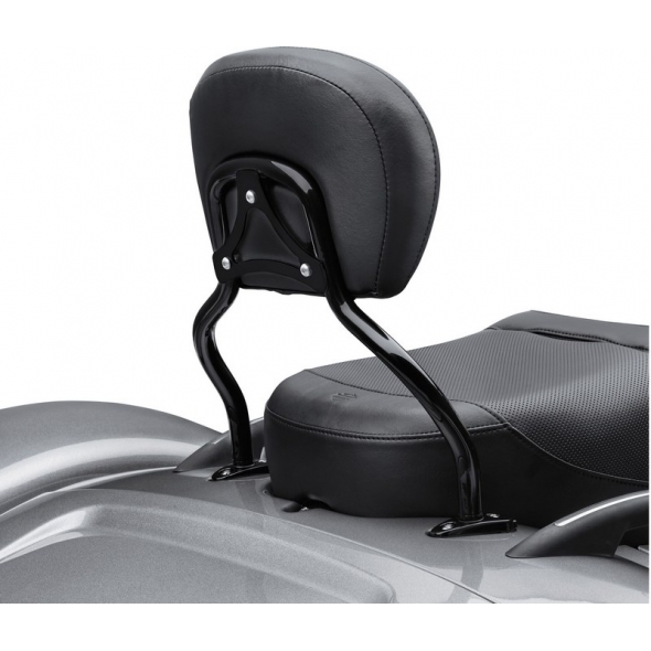 Harley-Davidson Harley-Davidson Quick-Release Sissy Bar Upright-Freewheeler, Gloss Black | 52300415 | hd_52300415 | euronetbike-net