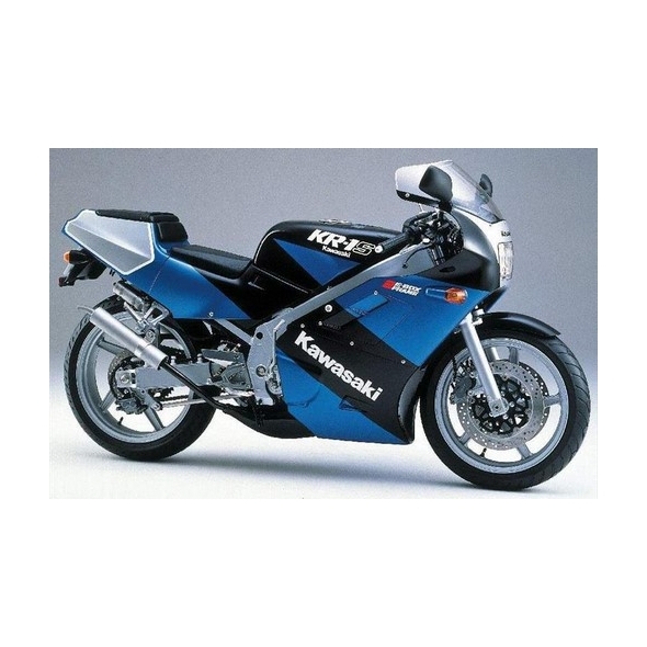 Powerbronze parts Powerbronze Standard Screens, WHITE for KAWASAKI ,KR1,KRIS, 89-93 | 410-K102-004 | pb_410-K102-004 | euronetbike-net