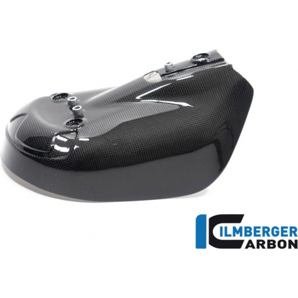 Ilmberger Carbon Ilmberger Exhaust protection gloss Ducati Streetfighter V2 | AHS.007.V2SFG.K | ilm_AHS_007_V2SFG_K | euronetbike-net