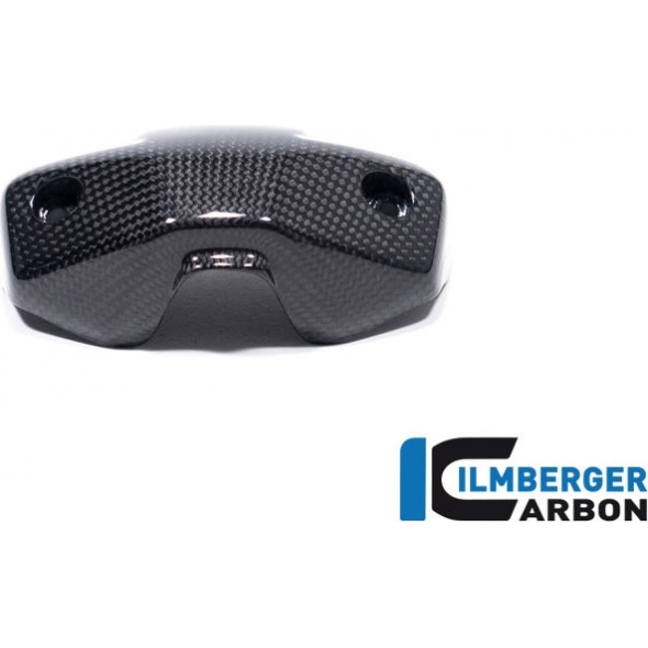Ilmberger Carbon Ilmberger Instrument cover gloss Ducati Streetfighter V2 | AMA.003.V2SFG.K | ilm_AMA_003_V2SFG_K | euronetbike-net
