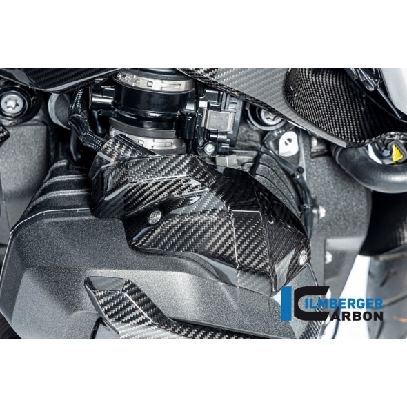 Ilmberger Carbon ILMBERGER INJECTOR NOZZLE COVER RIGHT GLOSSY BMW R 1300 GS FROM 2023 | CG.EDR.032.R23GS | ilm_CG_EDR_032_R23GS | euronetbike-net