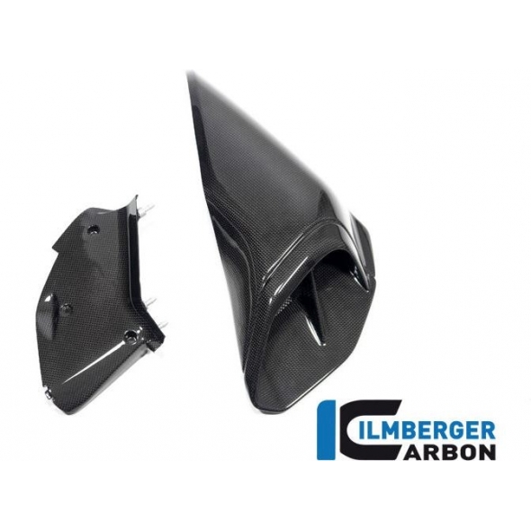 Ilmberger Carbon Ilmberger Right air tube cover Ducati Diavel V4 from 2023 gloss | LKR.002.DI23G.K | ilm_LKR_002_DI23G_K | euronetbike-net
