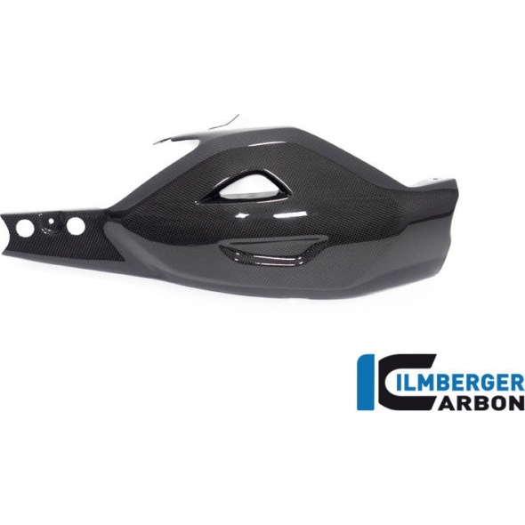 Ilmberger Carbon Ilmberger Swing arm cover Ducati Diavel V4 from 2023 gloss | SSO.025.DI23G.K | ilm_SSO_025_DI23G_K | euronetbike-net