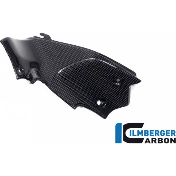 Ilmberger Carbon Ilmberger Airtube Covers left gloss Ducati Streetfighter V2 | WAL.009.V2SFG.K | ilm_WAL_009_V2SFG_K | euronetbike-net