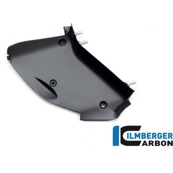 Ilmberger Carbon Ilmberger Inner airtube cover left Ducati Diavel V4 from 2023 matt | WAL.103.DI23M.K | ilm_WAL_103_DI23M_K | euronetbike-net