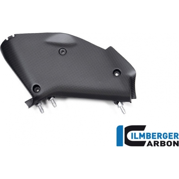 Ilmberger Carbon Ilmberger Inner airtube cover right Ducati Diavel V4 from 2023 matt | WAR.104.DI23M.K | ilm_WAR_104_DI23M_K | euronetbike-net