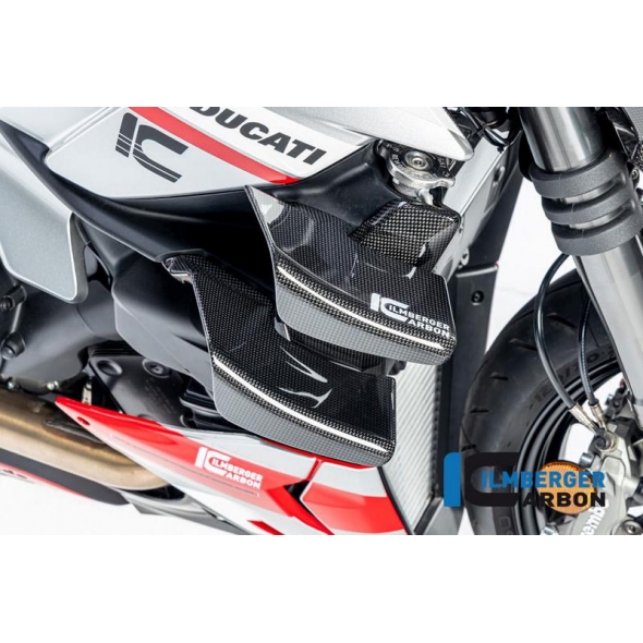 Ilmberger Carbon Ilmberger radiator cover right gloss Ducati Streetfighter V2 | WKR.005.V2SFG.K | ilm_WKR_005_V2SFG_K | euronetbike-net