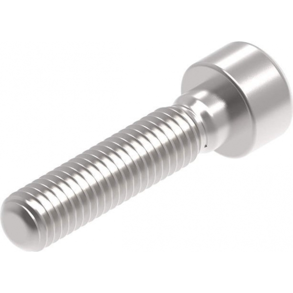 Evotech Performance Evotech Performance Evotech Performance, EP M8 x 35 x 1.25mm Pitch Caphead - 316 S/S | PRN014648 | evp_PRN014648 | euronetbike-net