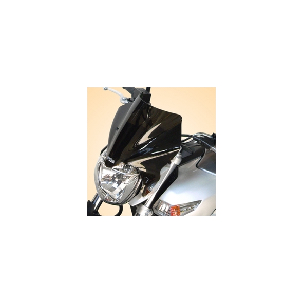 Secdem screens Secdem Screen haute protection SUZUKI 600 GSR 06/12, Clear | BS093HPIN | sec_BS093HPIN | euronetbike-net
