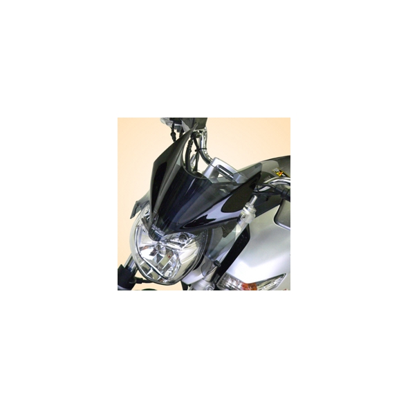 Secdem screens Secdem Screen standard SUZUKI 600 GSR 06/12, Smoky-grey | BS093STFG | sec_BS093STFG | euronetbike-net