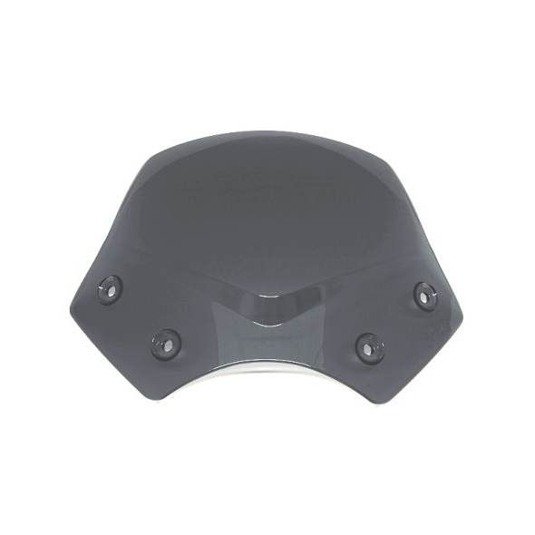 BMW OEM Parts BMW Windshield, sport, tinted, L=280MM | 71607704107 | bm_71607704107 | euronetbike-net