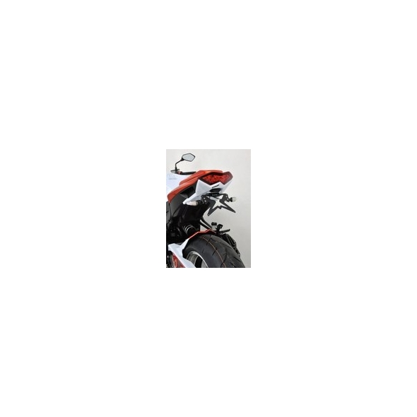 Ermax Ermax plate holder ermax for Z 1000 2010/2013 unpainted | 790300077 | erm_790300077 | euronetbike-net