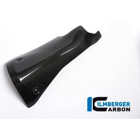Ilmberger Carbon Ilmberger Front Silencer Protector Carbon - BMW R 1200 R (LC) from 2015 / BMW R 1200 RS (LC) from 2015 | ilm_AHS_011_R12RL_K | euronetbike-net