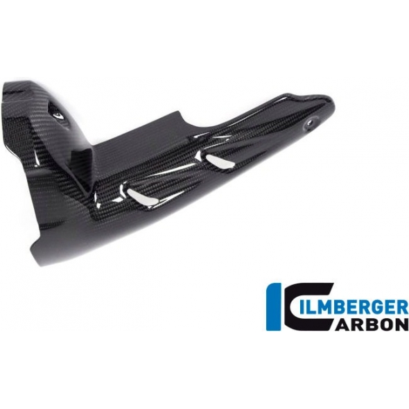 Ilmberger Carbon Ilmberger Silencer Protector (front) BMW R 1250 GS from 2019 | AHS.017.GS19T.K | ilm_AHS_017_GS19T_K | euronetbike-net